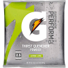 Gatorade®- Instant Powder, Lemon Lime, 21 oz., 32/Carton