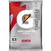 Gatorade® Instant Powder Pouch Fruit Punch, 51 oz., 14/Carton