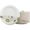 Dixie® DXESXP10PATHPK, Pathways Paper Plates, 10-1/8" Dia., Green/Burg/Wht, 125/Pack