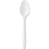 GEN GENPPTS, Teaspoon, Plastic, White, 1000/Carton