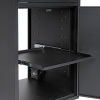 Deluxe Mobile Security Cabinet - Black
																			