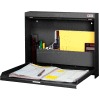 Datum WallWrite® Folding Wall Mount Desk WW-101-T25 Non-Locking 20"W x 3-3/8" x 16-3/8"H Black
