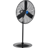 Global Industrial 24" Outdoor Rated Oscillating Pedestal Fan, 2 Speed, 7,700 CFM, 200W, 3/10HP