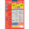 Poster, First Aid Guidefety, 18 x 24