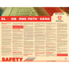 Poster, Bloodborne Pathogens, 24 x 30