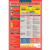 Poster, First Aid Guide (Spanish), 18 x 24