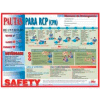 Poster, CPR Guidelines (Spanish), 18 x 24
