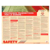 Poster, Bloodborne Pathognes (Spanish), 24 x 30