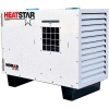 Heatstar 111000 BTU Dual Fuel Heater, 120V