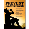 Accuform SP125033L Safety Poster, PREVENT HEAT STRESS, 22"H x 17"W, Laminated Paper