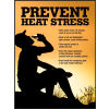 Accuform SP125033L Safety Poster, PREVENT HEAT STRESS, 22&quot;H x 17&quot;W, Laminated Paper