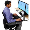 Ergotron&#174; WorkFit-S Sit-Stand Workstation w/Worksurface, For Dual Monitors, Black