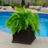 Mayne® Fairfield 20" x 20" Square Planter, Espresso