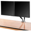 Interion® Dual Monitor Desk Mount
																			
