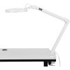 8 Diopter LED Magnifying Lamp in White
																			
