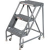 Heavy Duty Steel Rolling Ladder