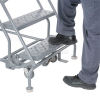 Standard Angle Ladder with Handrails - Perforated step