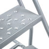 Standard Angle Ladder with Handrails - Perforated step