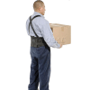 Ergodyne® ProFlex® 1650 Economy Back Support with Suspenders, M, 30-34" Waist Size