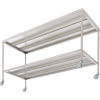 Aero� Stainless Steel Instrument Table with Lower Shelf 60x24x34