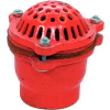 6" FNPT Cast Iron Foot Valve w/ Leather Flapper