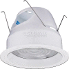 Lithonia F6LS4 6" Reflector w/ White Splay Fresnel Lens TRT
