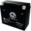 AJC Battery Triumph Tiger 1050CC Motorcycle Battery (2007-2011), 10 Amps, 12V, E Terminals