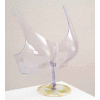 Free Standing Bra Form - Clear Plastic - Pkg Qty 5