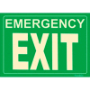 Photoluminescent Emergency Exit Rigid PVC Sign, Non-Adhesive