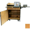 Non Sound Multimedia Presentation Plus Podium - Maple