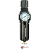 Arrow Integral Filter/Regulator With Gauge B752GW, Zinc Bowl, 1/4" NPT, 200 PSI