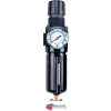Arrow Integral Filter/Regulator With Gauge B754GW, Zinc Bowl, 1/2" NPT, 250 PSI