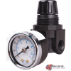 Arrow Mini Regulator R162g, Zinc, 1/4" Npt, 250 Psi