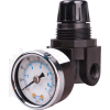 Arrow Mini Air Regulator R262g, Glass Filled Nylon, 1/4" Npt, 250 Psi