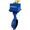 BI-TORQ 2.5" Lug Style Butterfly Valve W/ EPDM Seals and NEMA 4 115VAC Electric