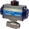 BI-TORQ 2" 2-Pc SS NPT Ball Valve W/Dbl. Acting Pneum. Actuator