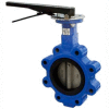 6" Lug Style Butterfly Valve W/ Buna Seals and 10 Position Handle