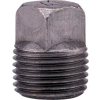 Anvil 2 In. Black Malleable Iron Cored Sq Head Plug