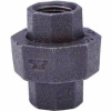 2 In. Black Malleable Union 150 PSI Lead Free