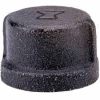1-1/2 In. Black Malleable Cap 150 PSI Lead Free