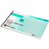 Wilson Jones® Columnar Pad, 11" x 16-1/4", 13 Columns, Green, 50 Sheets/Pad
