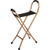 Drive Medical RTL10360 Deluxe Folding Lightweight Cane with Sling Style Seat