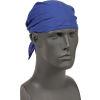 Ergodyne® Chill-Its® 6710 Evaporative Cooling Triangle Hat, Blue
																			