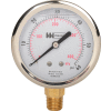 2 1/2" dial, liquid filled, 1/4" NPT bottom, 0-60 PSI