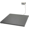 Pennsylvania 76/6600 Series NTEP Floor/Pallet Digital Scale 60" x 60" 10,000lb x 2lb