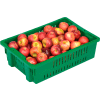 LEWISBins Stack-N-Nest Agricultural Container AF2013-6, 19-11/16"L x 13-1/8"W x 5-5/8"H, Green - Pkg Qty 10