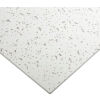 Genesis Printed Pro PVC Ceiling Tile 741-00, Waterproof & Washable,
																			