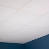 Genesis Printed Pro PVC Ceiling Tile 741-00, Waterproof & Washable,
																			