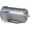 Baldor-Reliance Motor CSSEWDM3558T, 2HP, 1755RPM, 3PH, 60HZ, 145TC, 3538M, TEFC, F1