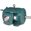 Baldor-Reliance Motor ECTM2276T, 7.5 AIR OVERHP, 1180RPM, 3PH, 60HZ, 254T, 095